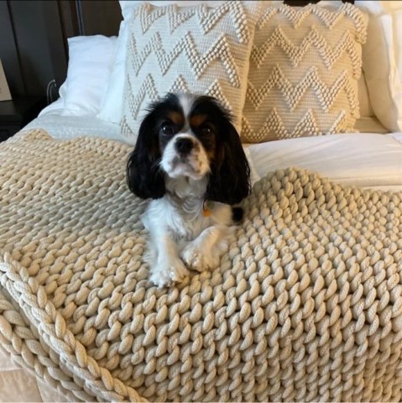 Meet your Posher, Sarah - Picture 1 of 1